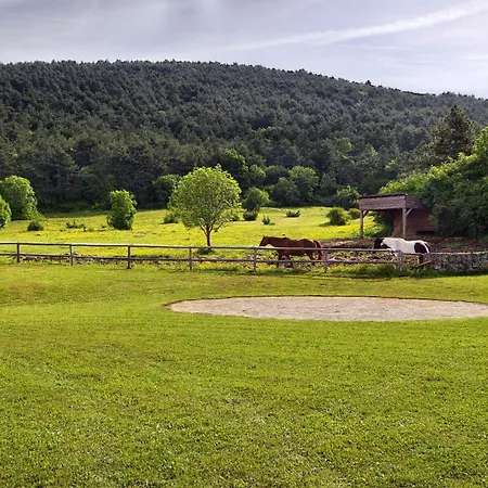 Noiram - Your Dream Getaway In Nature 빌라